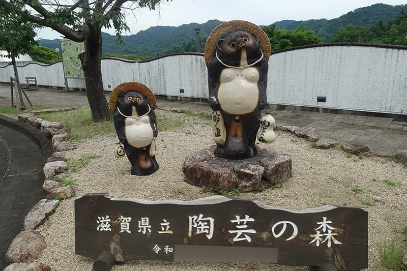 滋賀県立陶芸の森のたぬき