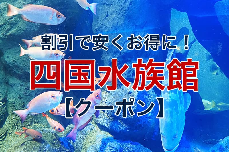 割引で安くお得に 四国水族館 クーポン