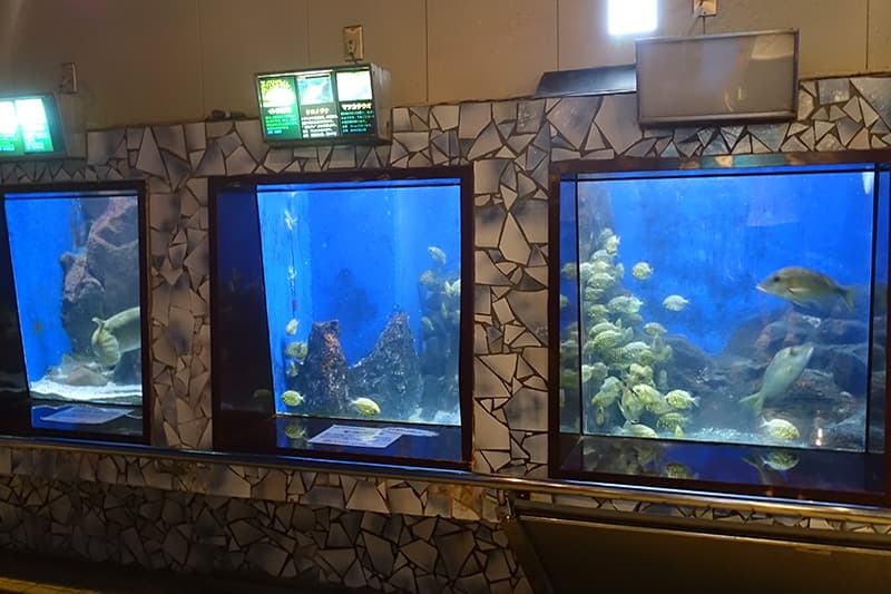 越前松島水族館の水槽