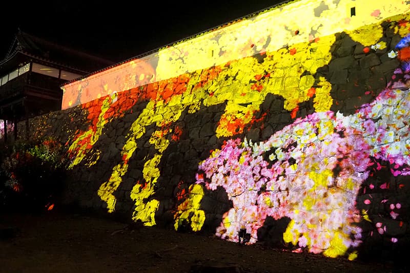 福山城の石垣に住まう花と共に生きる動物たち