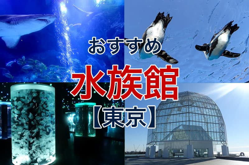 おすすめ 水族館 東京