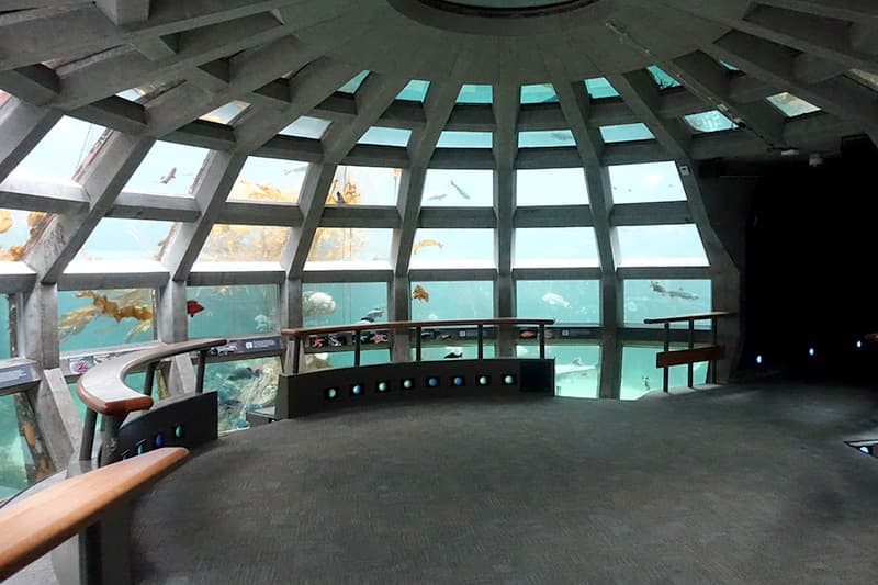 シアトル水族館のUnderwater Dome