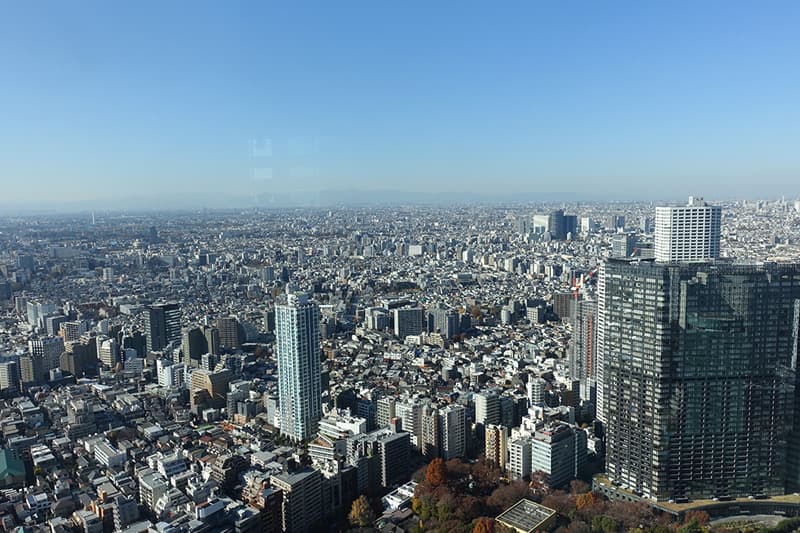 東京都庁展望室から見える東京の景色
