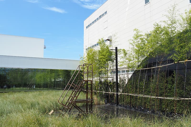 大阪製罐のチームラボ風と雨と太陽の草原