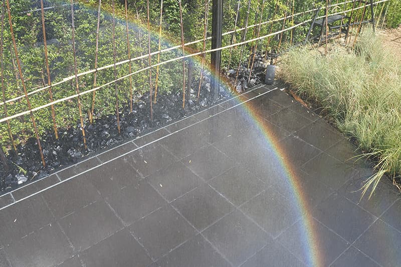 チームラボ風と雨と太陽の草原の虹