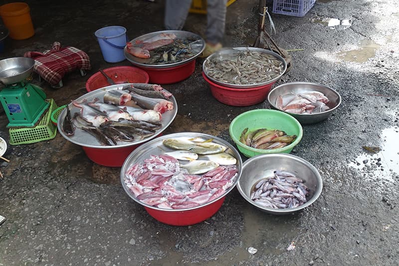 魚