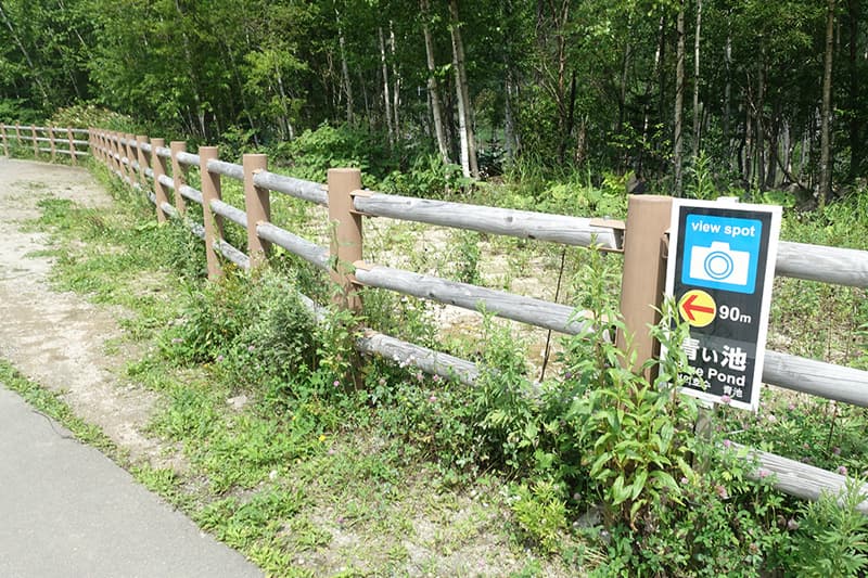 白金青い池のまでの道