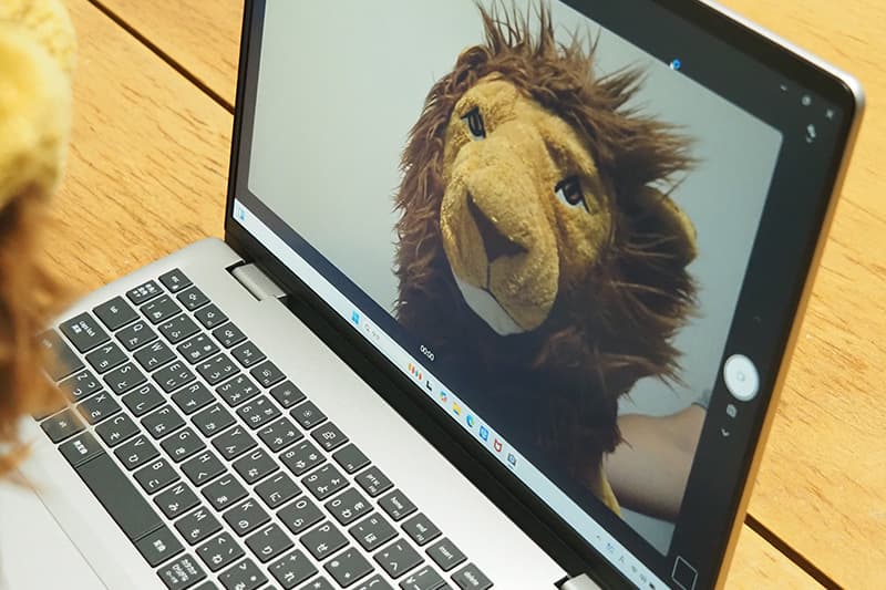 Dell 16 DC16256のWebカメラ